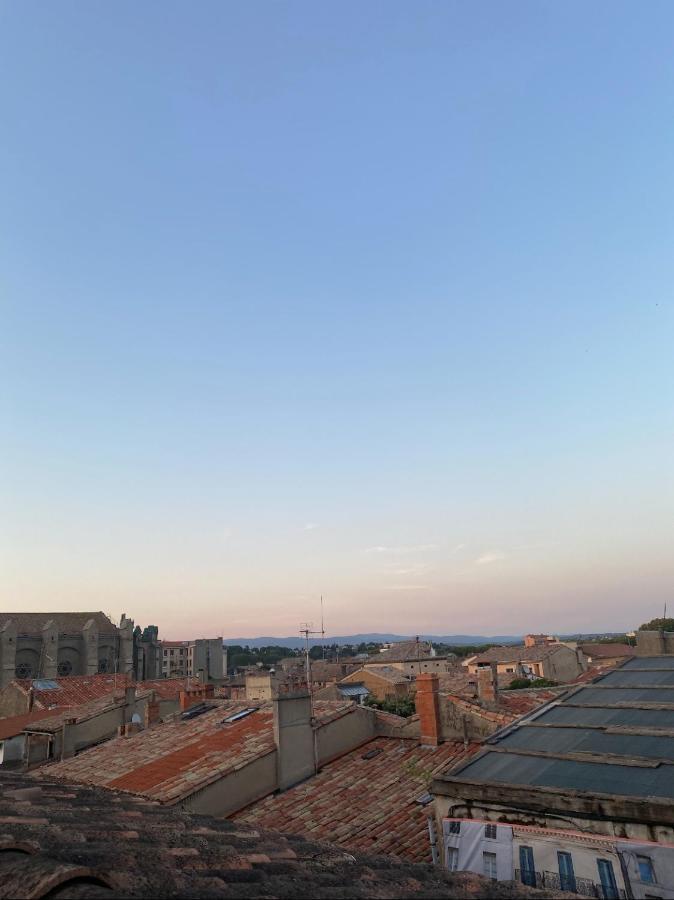 Rooftop Standing Place Carnot Καρκασόν Εξωτερικό φωτογραφία